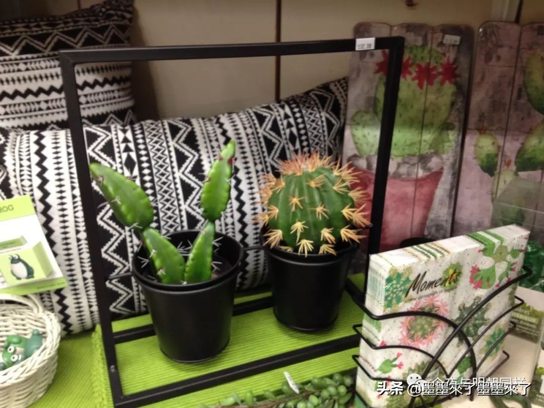 加拿大传统小店,加拿大温哥华特色店