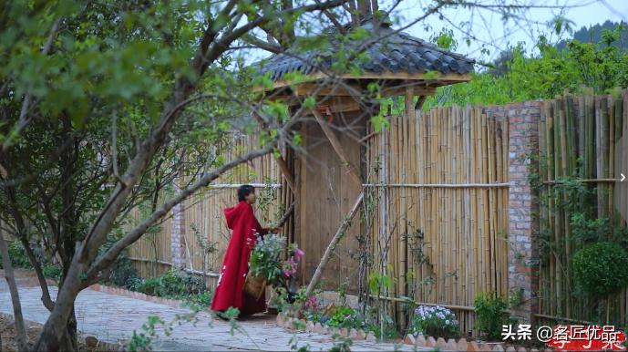 李子柒火了的视频,李子柒现身网红节却暴露真实颜值