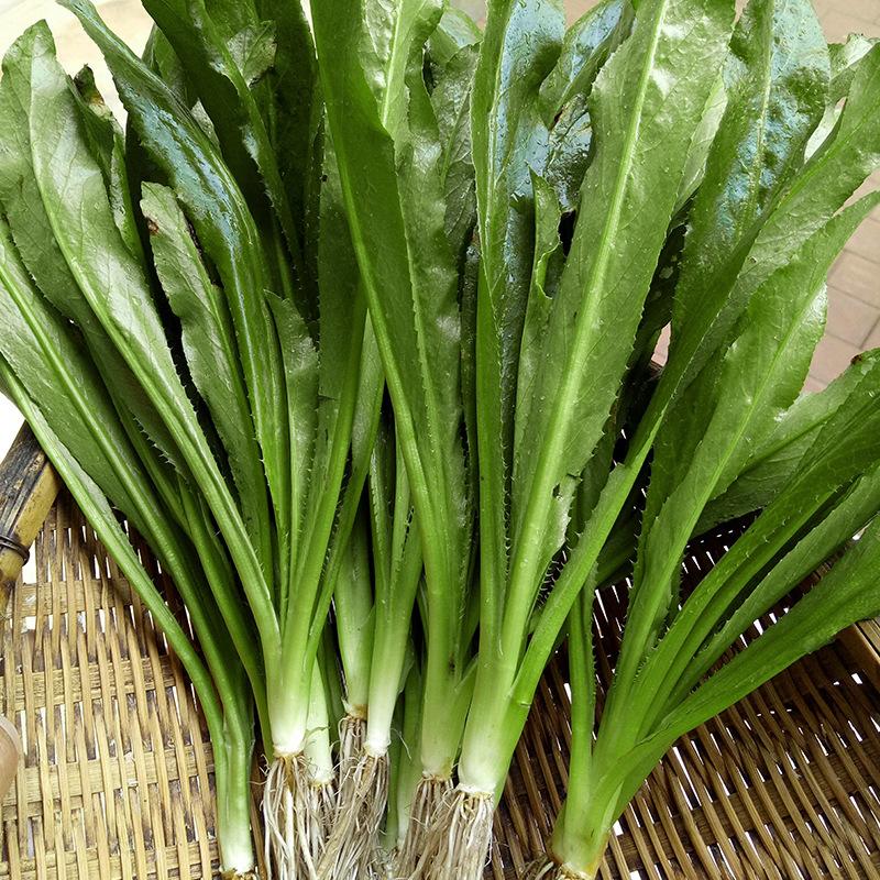 泰国菜冬阴功配料,泰国菜主要的配料