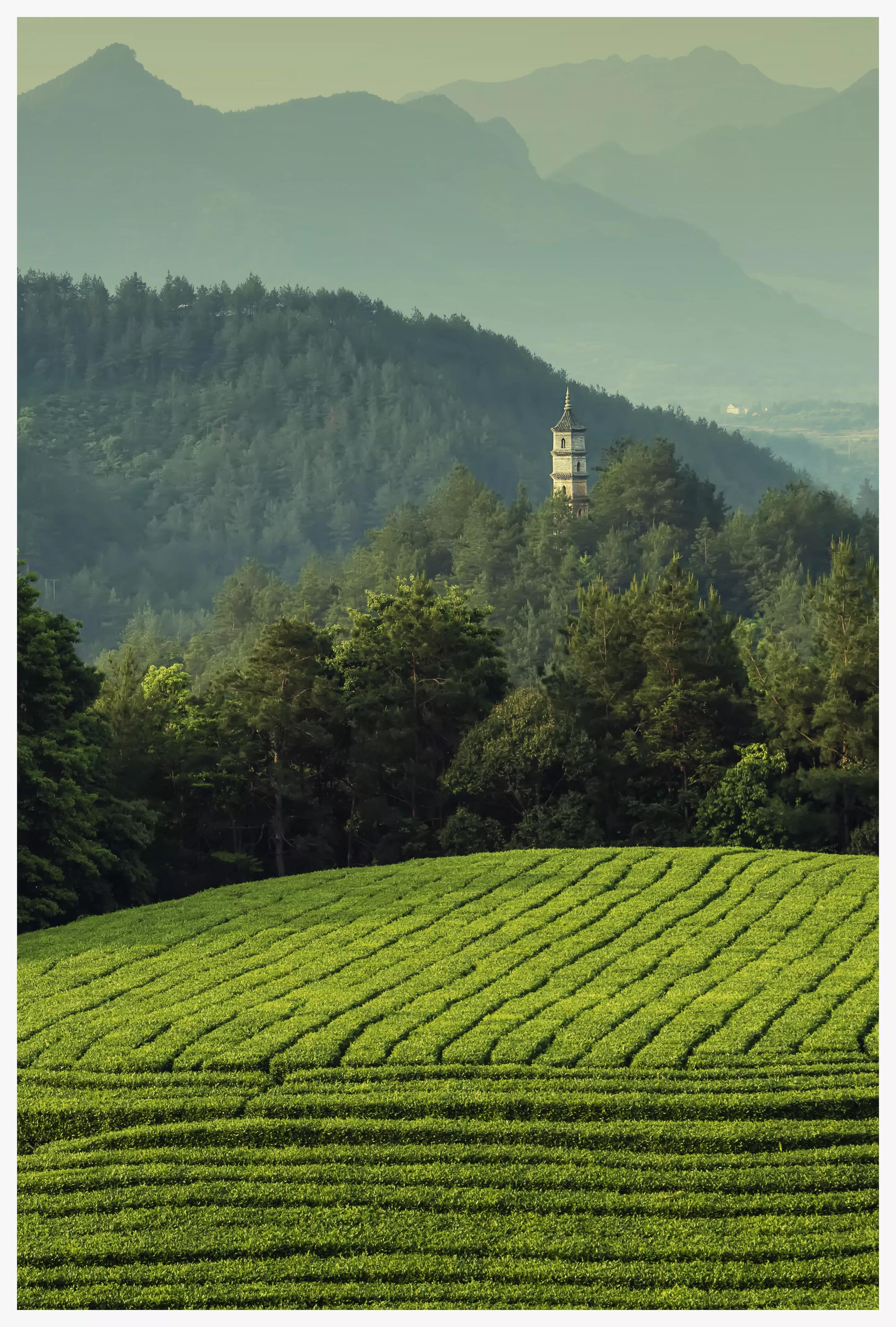 丽水遂昌深山秘境,遂昌姚岭山路