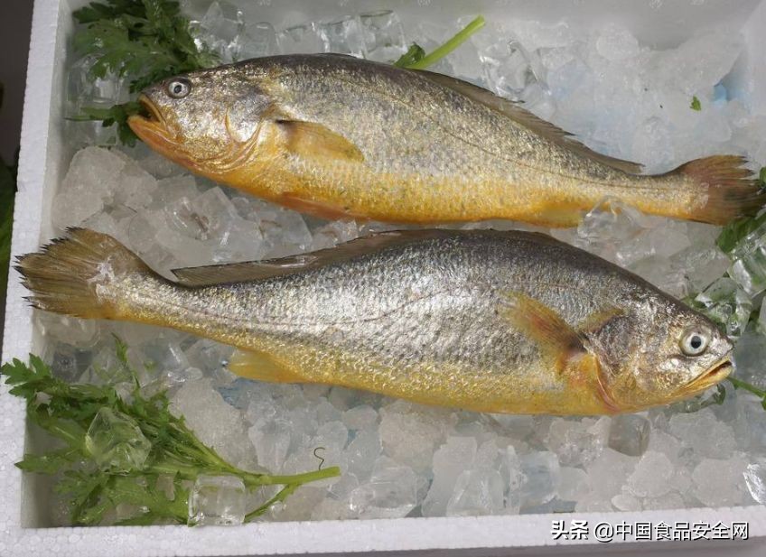 鱼贩售卖染色鱼获刑,无良商贩使用有毒染料