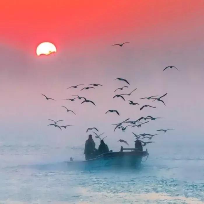 推荐一些超好看的头像包括自己的,超好看的10种头像