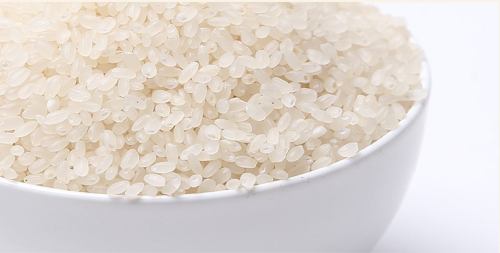 黄河滩原阳特产大米,黄河边原阳大米价格