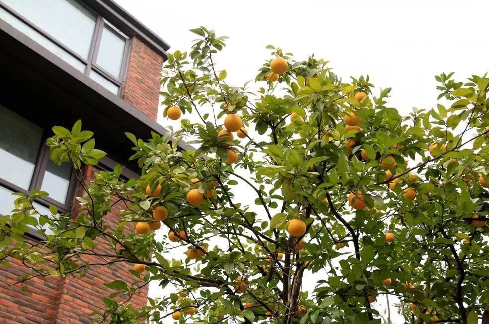 滨湖金融最新消息,滨湖金融板块以后的发展