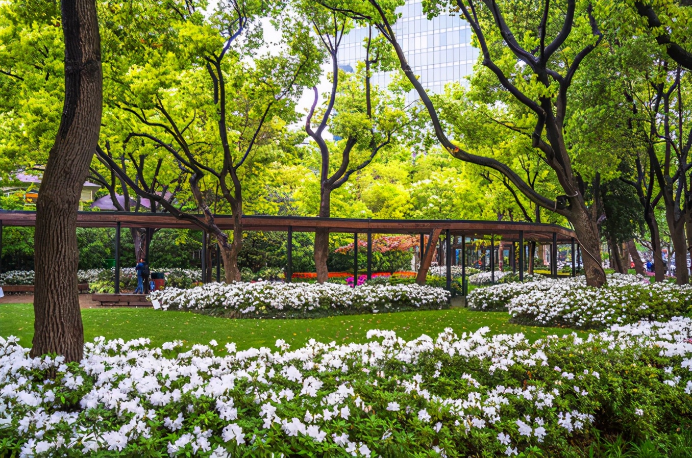 富春湖公园上海,青年湖公园上海