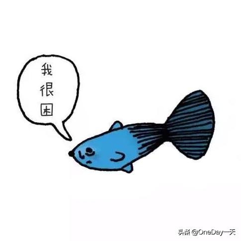 动物冷知识搞笑动画,搞笑动物冷知识22