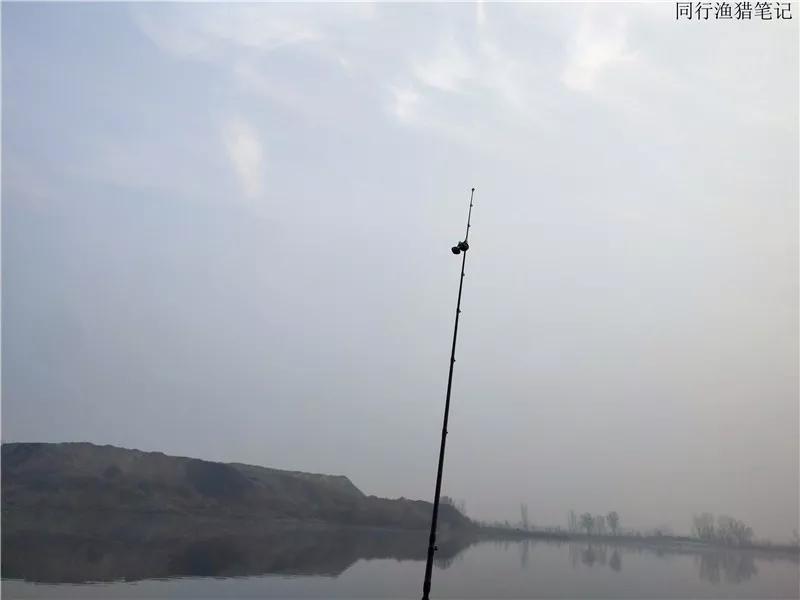 一顿操作猛如虎钓鲫鱼视频,一顿操作猛如虎一斤只剩一两