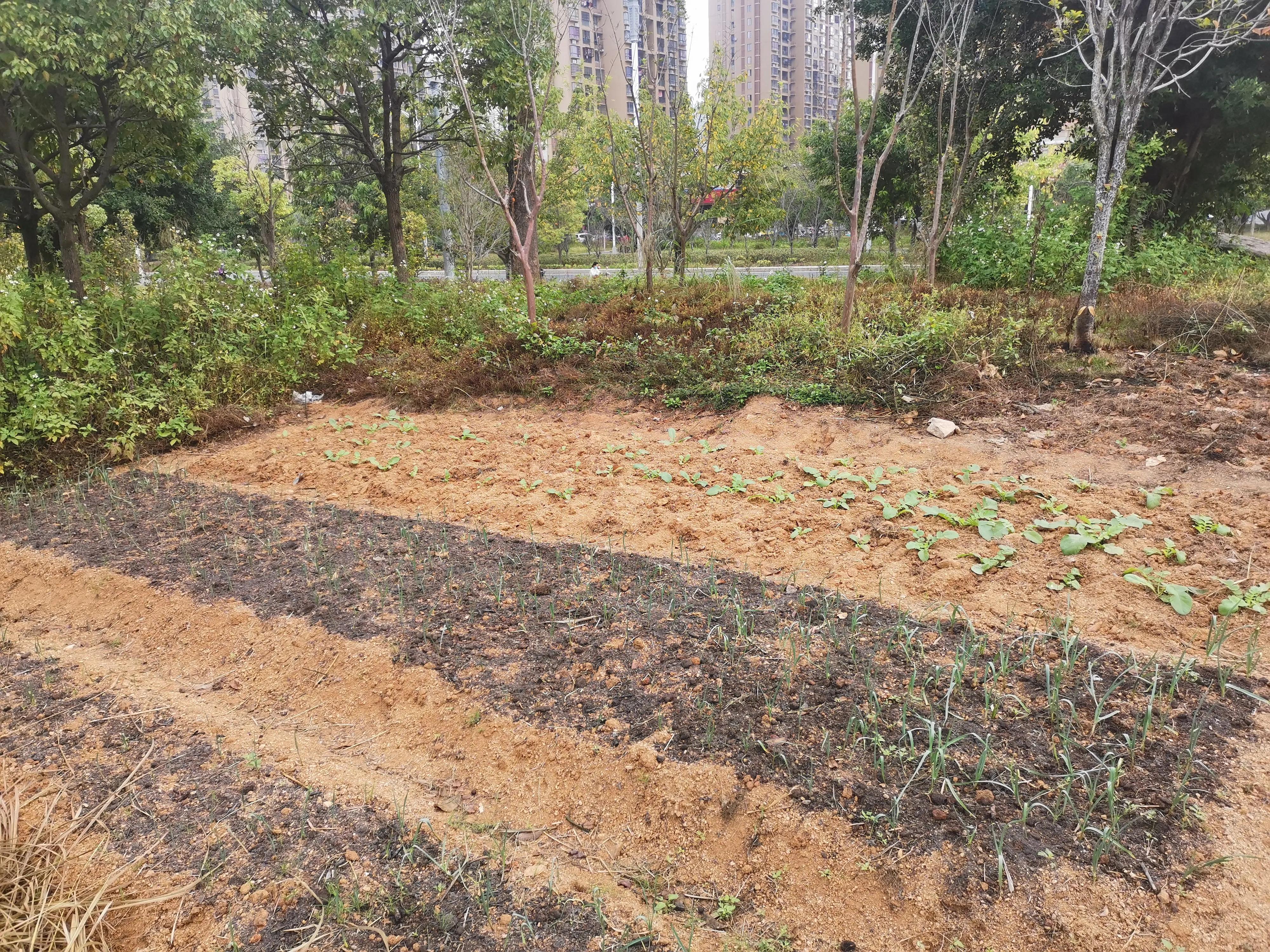 罗源县滨海新城有前景吗,罗源滨海新城区域