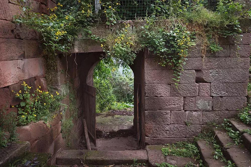 渝北枇杷正黄，冒冒失失穿越铁壁、胜保、斗碗三寨