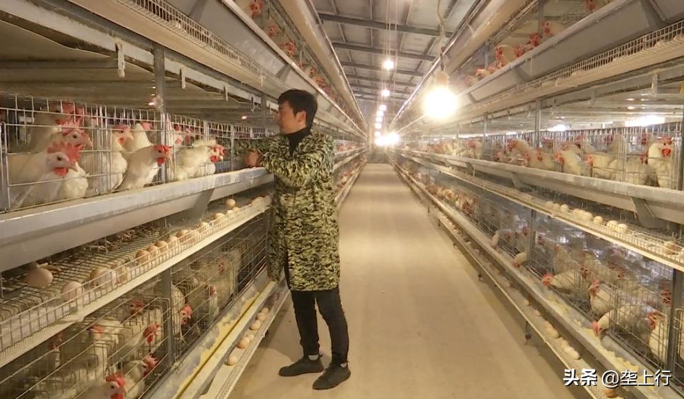 脱贫致富之后一年能挣多少钱,沪滇产业联动助脱贫户增收致富