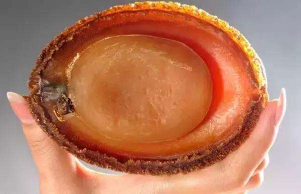 世界鲍鱼品种大全，看完成半个专家了！