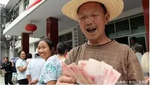 怎么经营好一个合作社,合作社怎么快速盈利