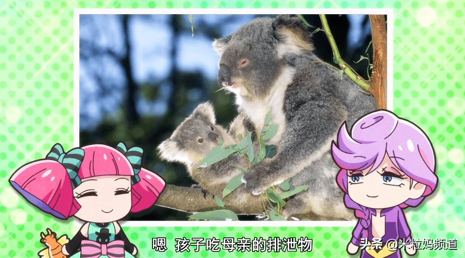 年度惊喜电影,8部科普必看的动画片