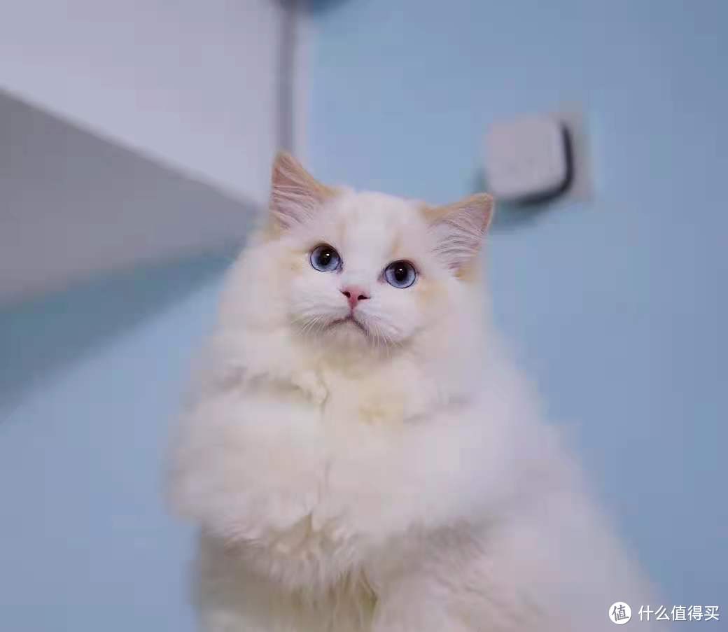 戒掉网瘾专心学习的软件,戒掉网瘾课程