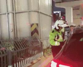 铁骑“快闪”查酒驾，昨晚17只“醉猫”落网！今晚免费“送代驾”！