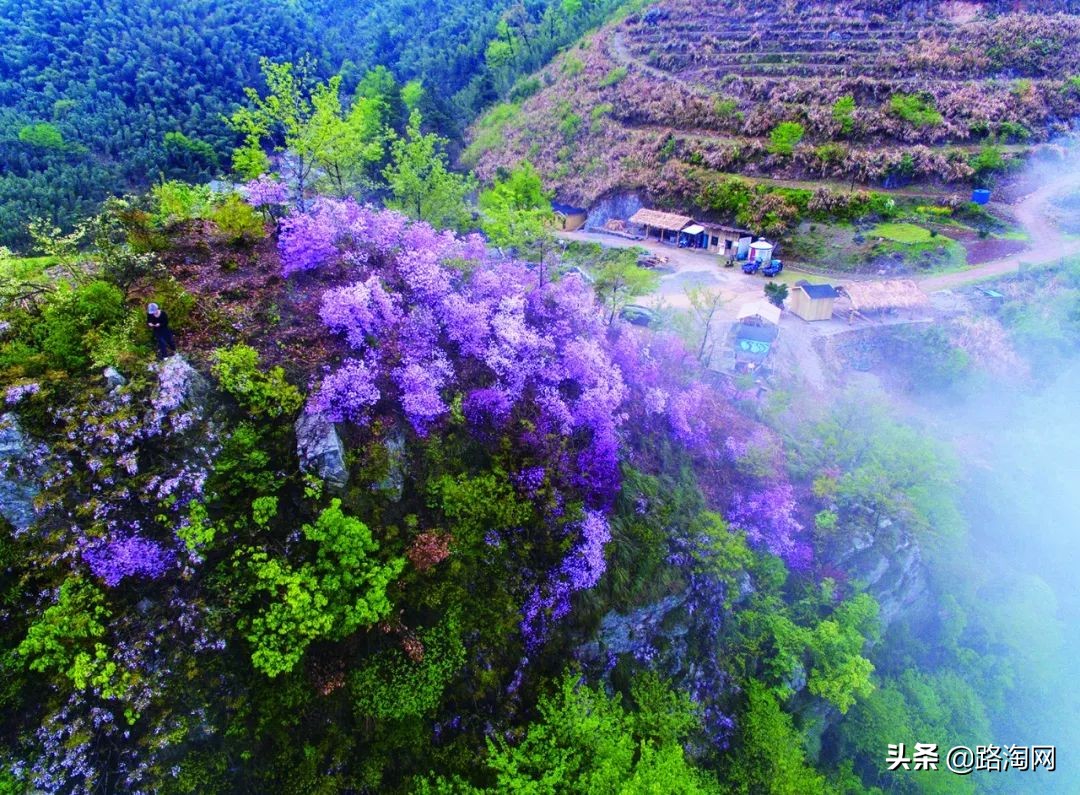 五一小长假结束再看一波各地美景,五一小长假去哪登山踏青看花好