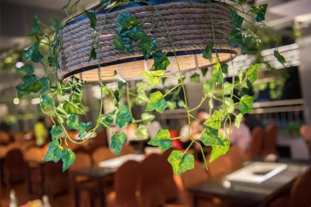 太原火锅涮肉自助,太原最好吃的火锅烤肉