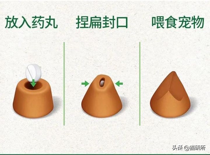 一学就会的训猫技巧,手把手教你给猫咪喂药