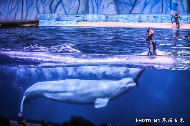 来珠海旅游必打卡的景点,春节珠海亲子游玩地方推荐