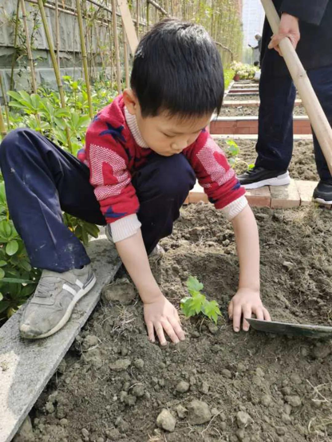 成都实验小学一校三区,成都实验小学西校区