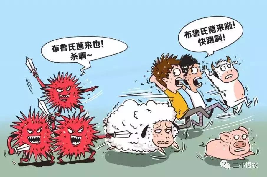 世界三大种植基地,世界三大适用耕种区域