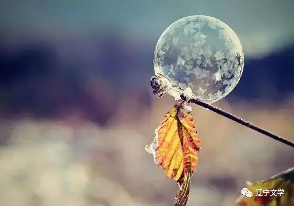 岩泉:猪年诸事已往乎,鼠年数钱可来也