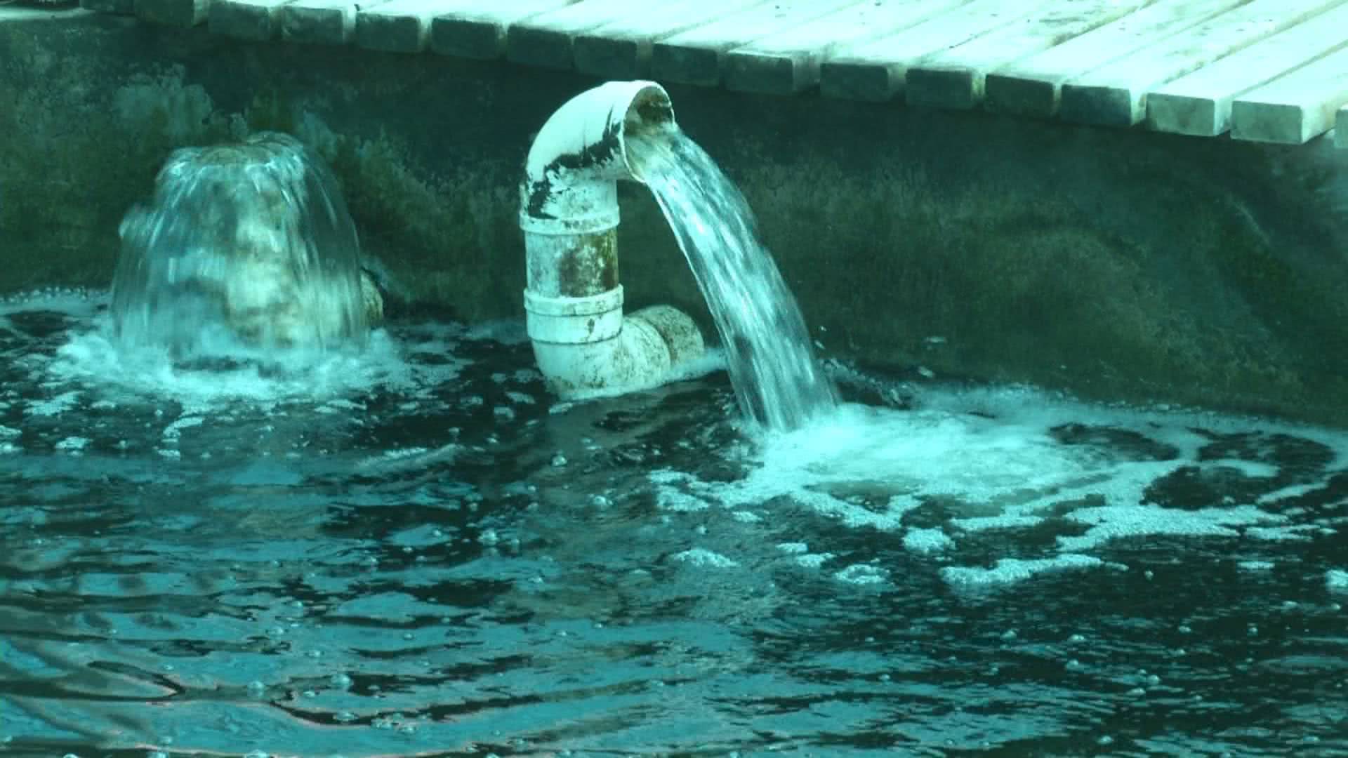 一条小鱼大概能卖多少钱,一条小鱼大约多少钱