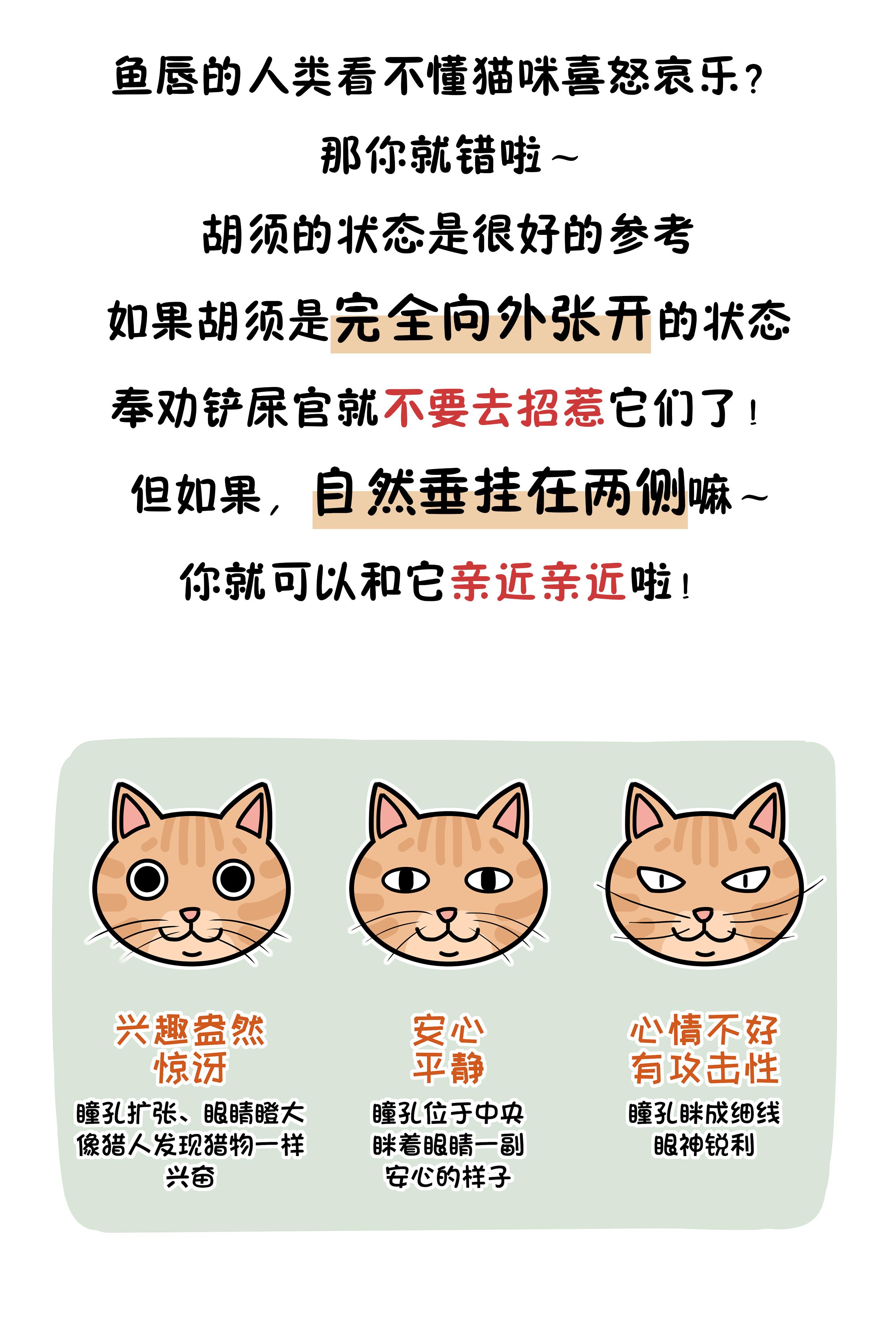 把猫咪的胡须拔掉还能找出来吗 (猫咪的胡须能探测多远的距离)