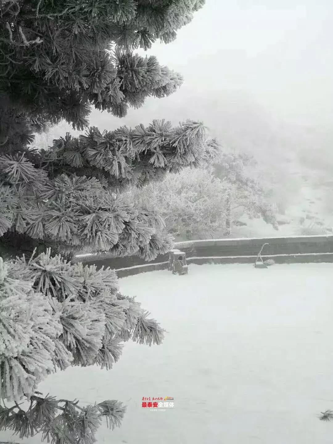 此刻泰山成了雪国,美到无言!高清美图来袭,“雪国的列车”即刻发车!