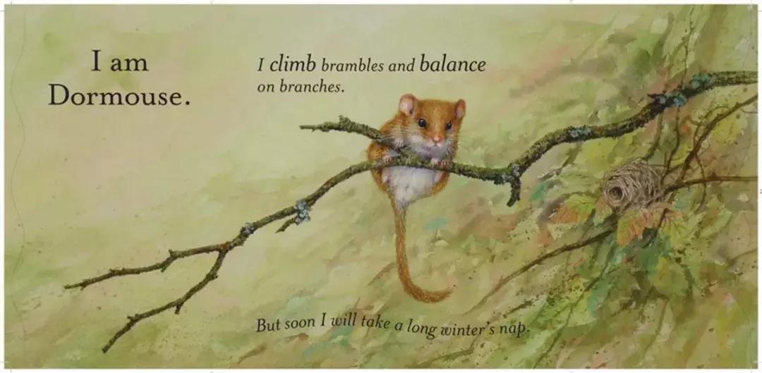 给孩子的自然故事绘本,讲给孩子的自然科普绘本