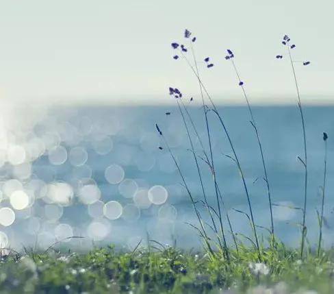 蛙鸣鸟声,虫鸣鸟啼入梦来