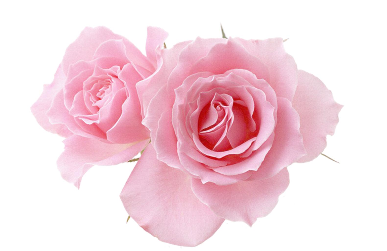 ps叠加技巧教程,ps液化人物技巧