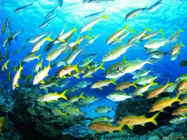 美丽又神秘的三沙,三沙的大美风光