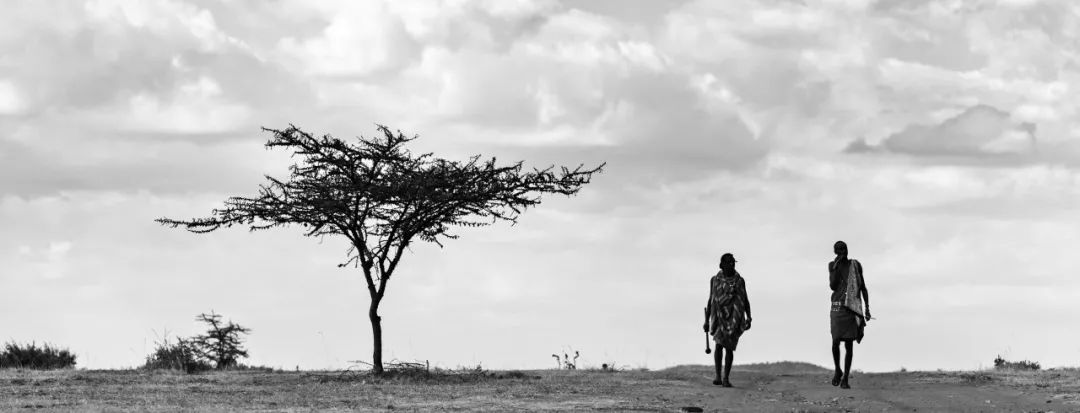 非洲马赛人:从狮口夺食的“战斗民族”