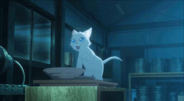 这部温情的撸猫片,让我哭得溃不成军,这是全世界猫*党**的胜利