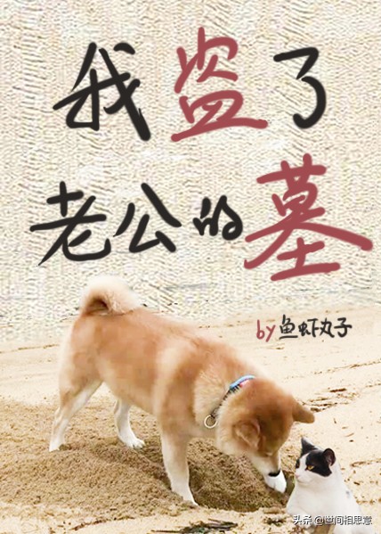 比较虐心的快穿小说推荐,无cp男主打脸虐渣快穿文推荐