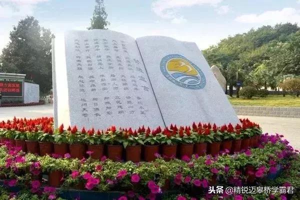 燕子矶新添高颜值网红学校，未来名校阵容堪比河西南！