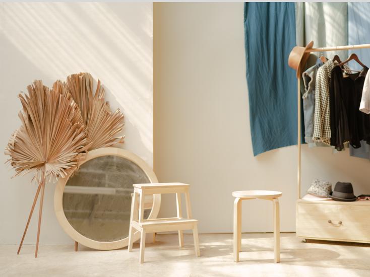 捡了棵凤尾竹怎么能活,单株凤尾竹