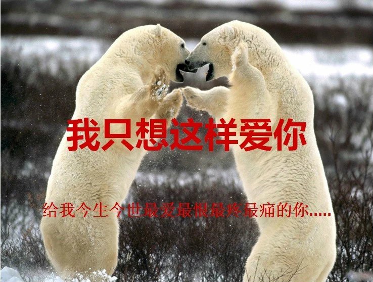 我只想说声爱你,只想再爱你一次