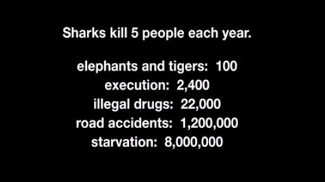 如果让鲨鱼开口，它们会说：“你们对我们有偏见！”