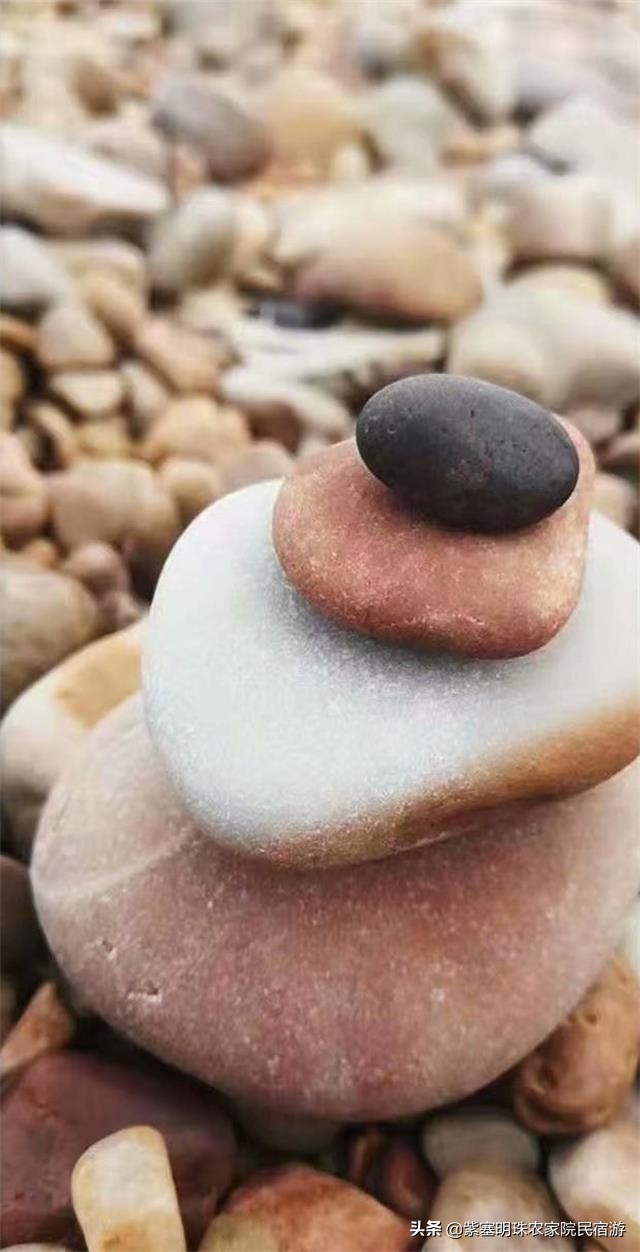 海王九岛海滨渔家,大连海王九岛渔家院