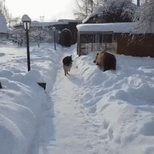 第一次看到把抖m说的这么清新脱俗的...实在太形象了哈哈哈哈哈！
