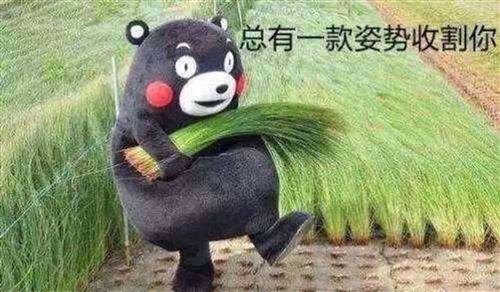 九月九日忆兄弟解析,九月九日忆股市