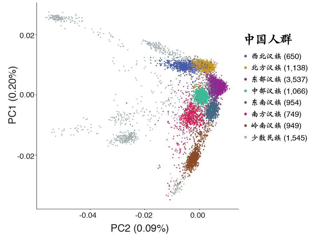 中国南方人和北方人基因,中国人和日本人基因能分辨出来吗