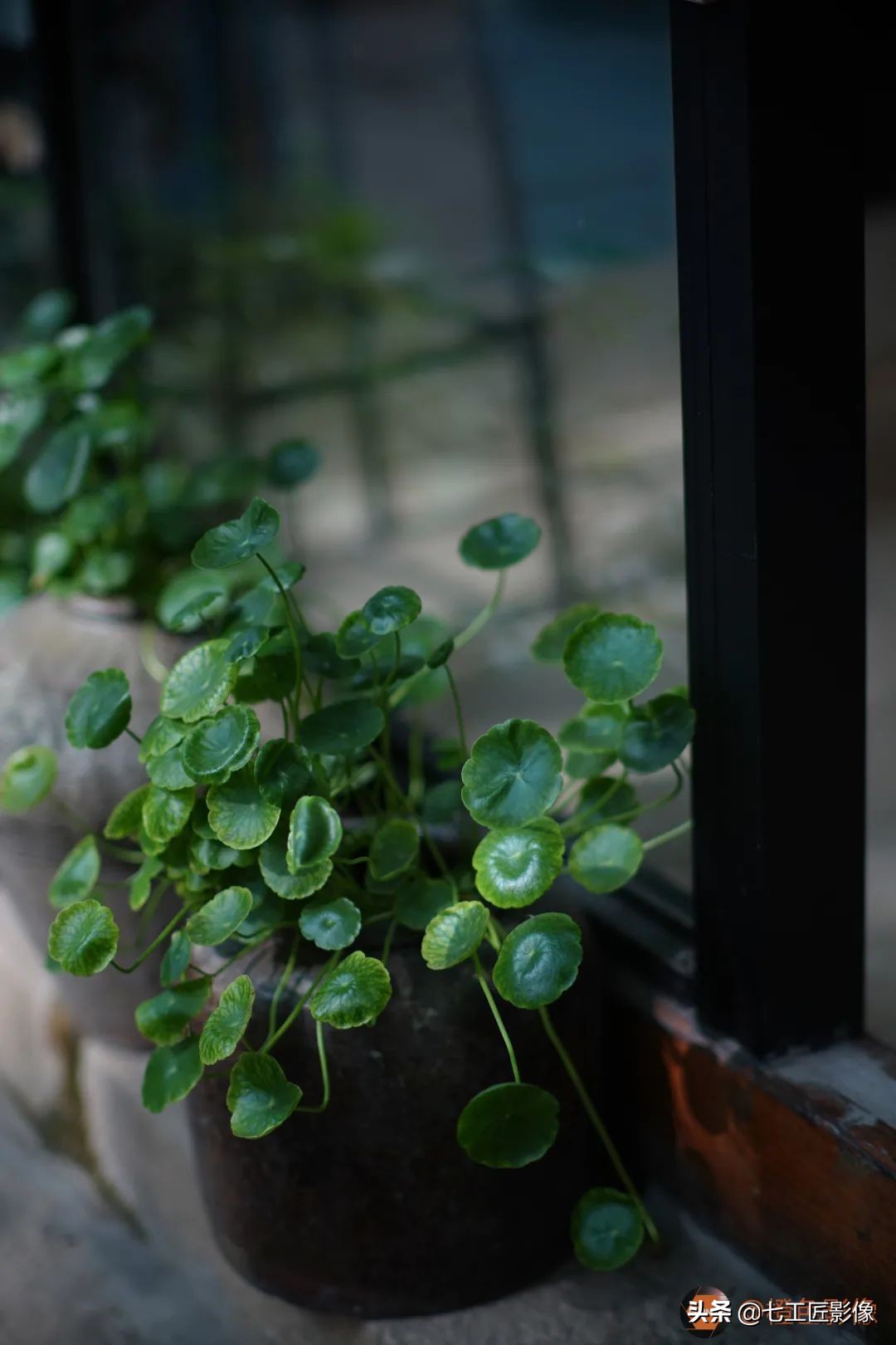 七工匠75mmf1.25夜神人像镜头,七工匠75mmf1.25参数