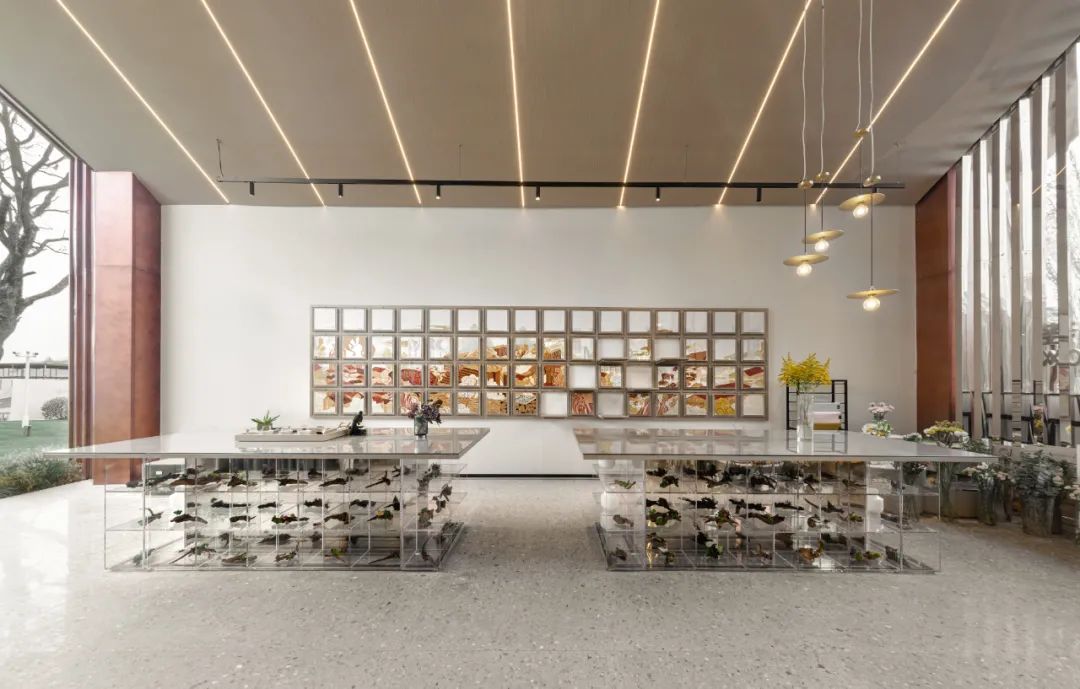 lsd艺术风格,lsd完整形式