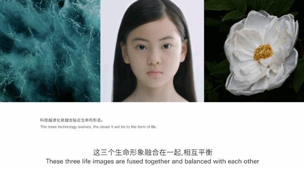 你们不要再吵了啦原版视频,你们不要再吵了图