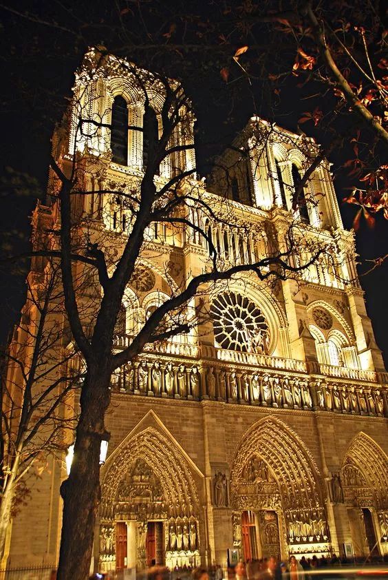 巴黎圣母院被烧毁的文物,巴黎圣母院被烧掉