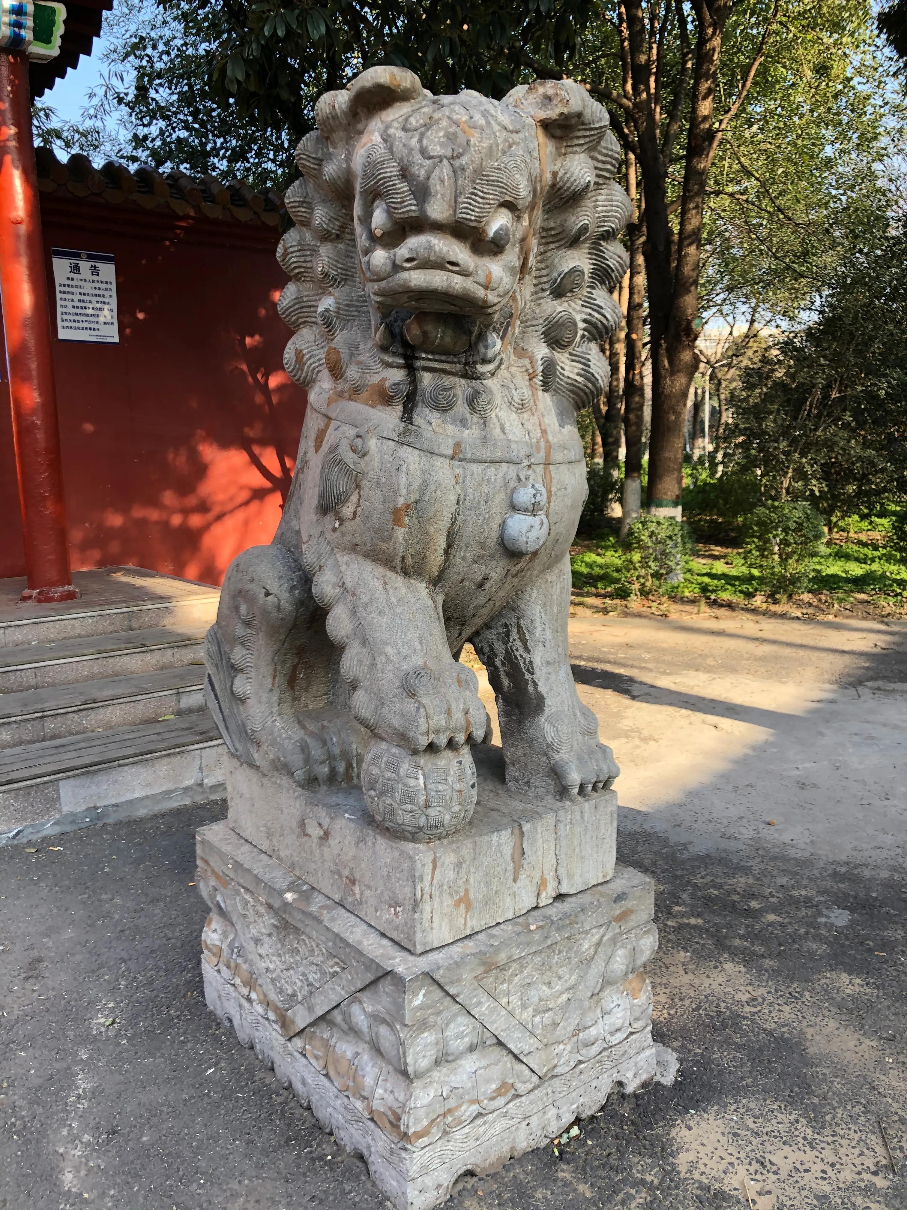 平顶山河滨公园旅游攻略,平顶山森林公园游记