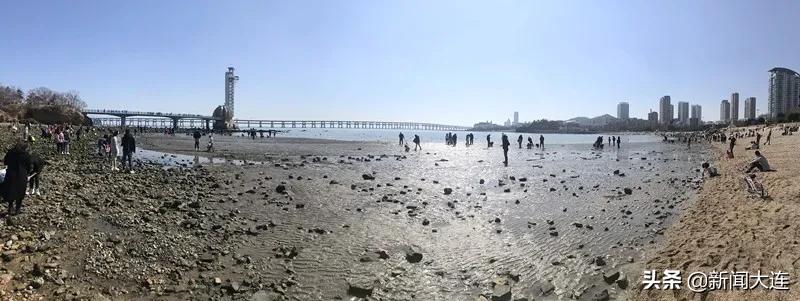 大连野餐必备,大连野餐推荐地点